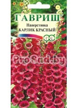 Наперстянка Карлик красный