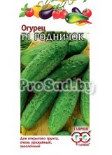 Огурец F1 Родничок