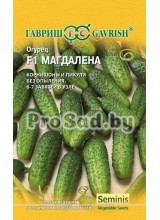 Огурец-корнишон Магдалена