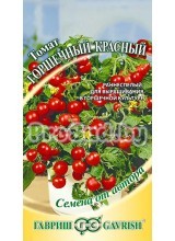 Томат Горшечный красный