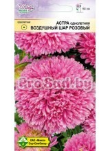 Астра Воздушный шар розовый (Германия)