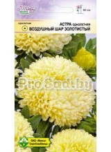 Астра Воздушный шар золотистый (Германия)