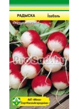 Редис Изабель (Германия)