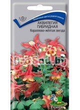 Аквилегия гибридная Кораллово-жёлтая звезда