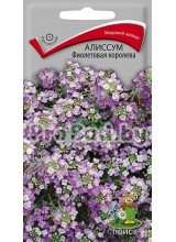 Алиссум Фиолетовая королева