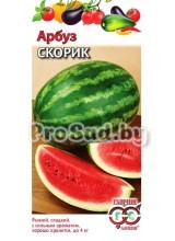 Арбуз Скорик