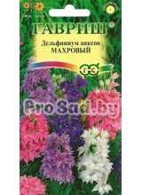 Дельфиниум Аяксов карликовый Махровый