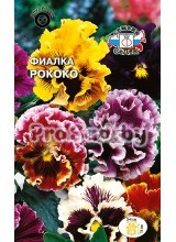 Фиалка витрокка Рококо