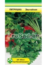 Петрушка Обыкновенная листовая​
