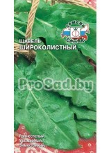 Щавель Широколистный