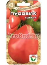 Томат Пудовик