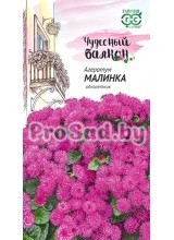 Агератум Малинка
