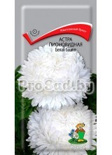 Астра пионовидная Белая башня