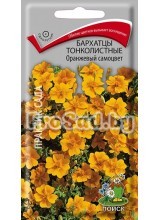 Бархатцы тонколистные Оранжевый самоцвет
