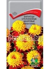 Бархатцы отклонённые махровые Жёлтая головка