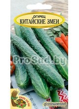 Огурец Китайские змеи