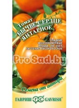 Томат Бычье сердце Янтарное
