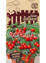 Томат Пиноккио