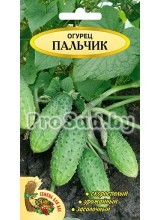 Огурец Пальчик