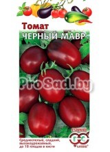 Томат Чёрный мавр