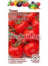 Томат Северная малютка