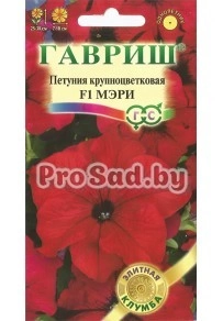 Петуния крупноцветковая F1 Мэри