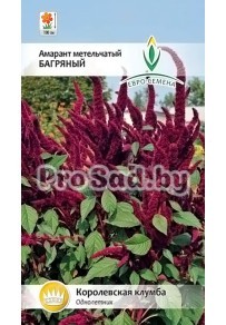 Амарант метельчатый Багряный