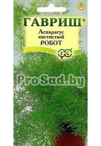 Аспарагус кистистый Робот