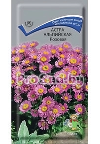 Астра альпийская Розовая