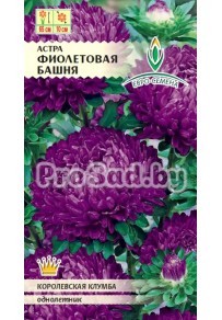 Астра Фиолетовая башня