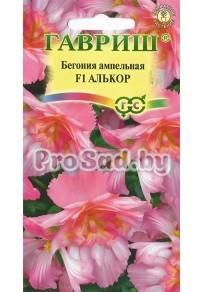 Бегония ампельная F1 Алькор