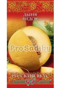 Дыня Медок