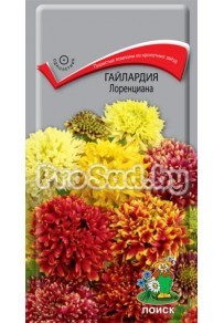 Гайлардия Лоренциана