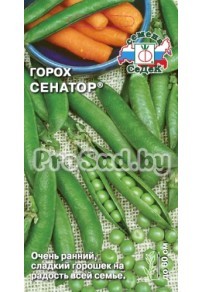 Горох Сенатор