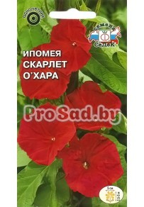 Ипомея Скарлет О'Хара