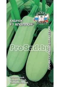 Кабачок F1 Аполлон