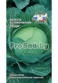 Капуста белокочанная Тёща