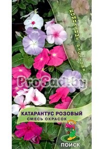 Катарантус розовый, смесь окрасок