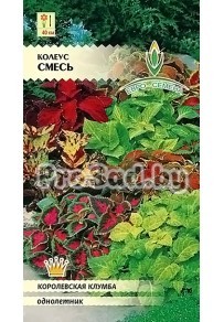 Колеус, смесь