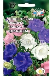 Колокольчик медиум Чашка с блюдцем