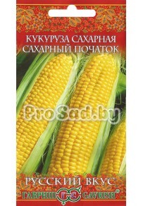 Кукуруза сахарная Сахарный початок