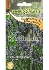 Лаванда узколистная Вознесенская 34