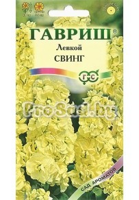 Левкой (Маттиола седая) Свинг