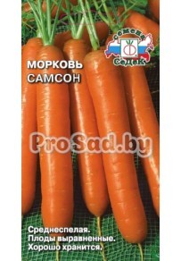 Морковь Самсон