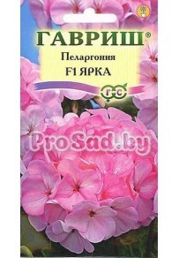 Пеларгония зональная F1 Ярка