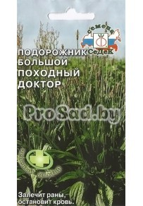 Подорожник большой Походный доктор