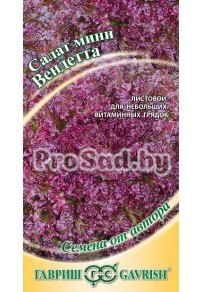 Салат мини Вендетта