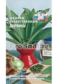 Шалфей лекарственный Дервиш
