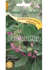 Шалфей лекарственный Кубанец