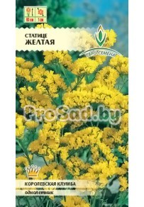Статице Жёлтая